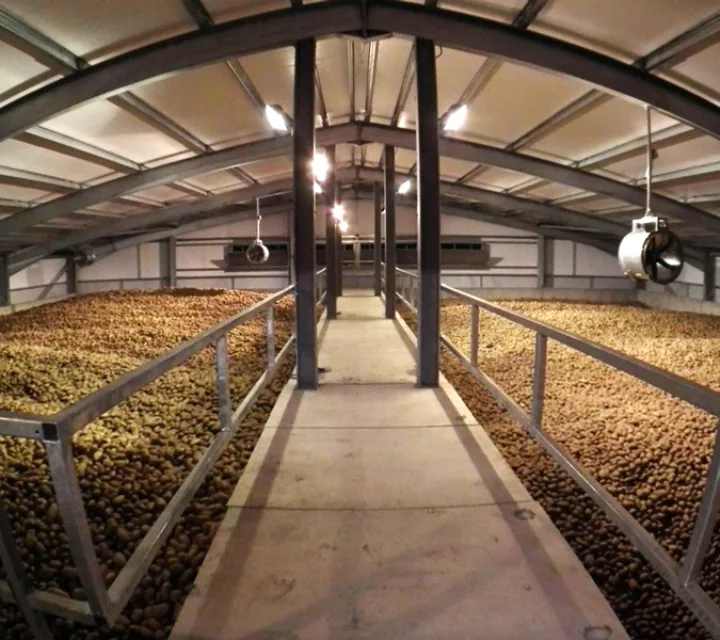 Вентиляция картофелехранилища Картофелехранилище - комбинированная вентиляция