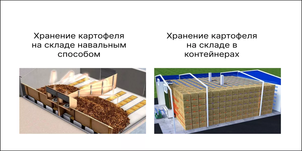 Вентиляция картофелехранилища Вентиляция картофелехранилища